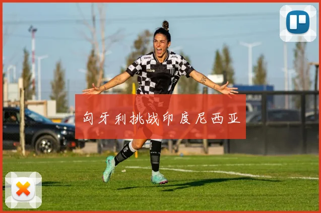 匈牙利挑战印度尼西亚