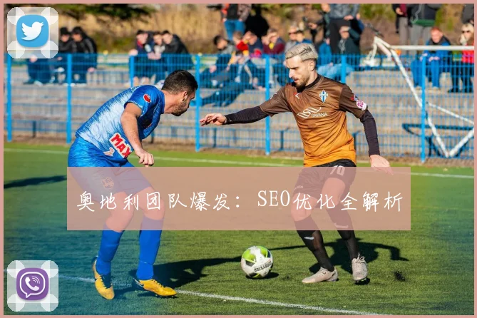 奥地利团队爆发：SEO优化全解析