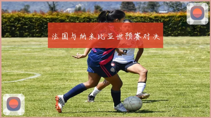 法国与纳米比亚世预赛对决
