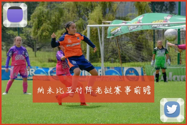 纳米比亚对阵老挝赛事前瞻