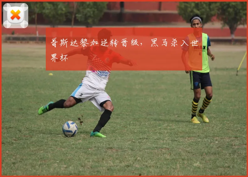 哥斯达黎加逆转晋级，黑马杀入世界杯