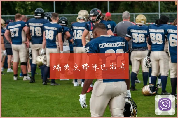 瑞典交锋津巴布韦