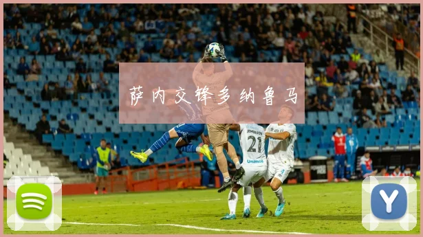 萨内交锋多纳鲁马