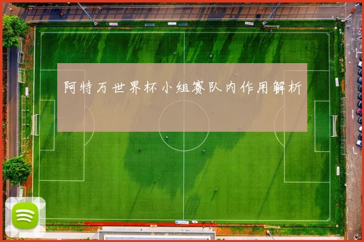 阿特万世界杯小组赛队内作用解析
