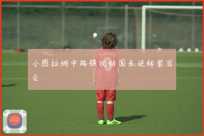 小图拉姆中路强攻助国米逆转紫百合