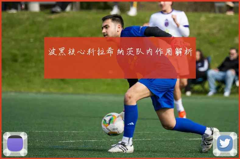 波黑核心科拉希纳茨队内作用解析