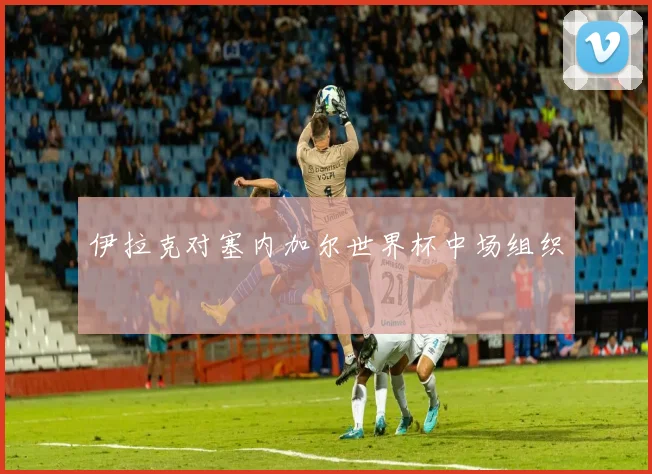 伊拉克对塞内加尔世界杯中场组织