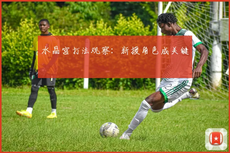 水晶宫打法观察：新援角色成关键