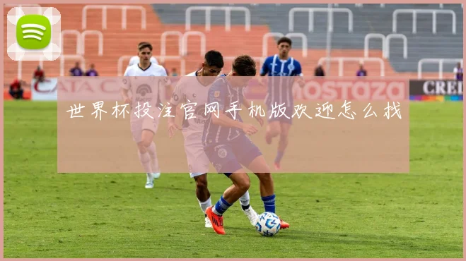 世界杯投注官网手机版欢迎怎么找