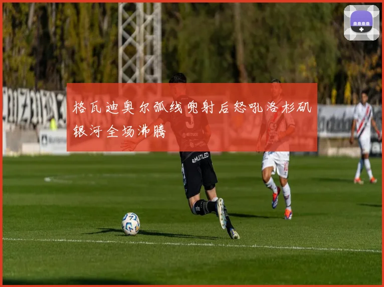 格瓦迪奥尔弧线兜射后怒吼洛杉矶银河全场沸腾